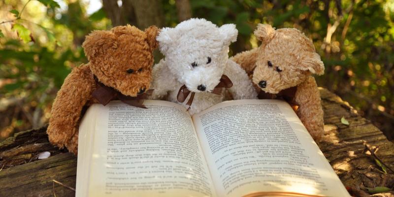 Three teddy bears looking at a book.